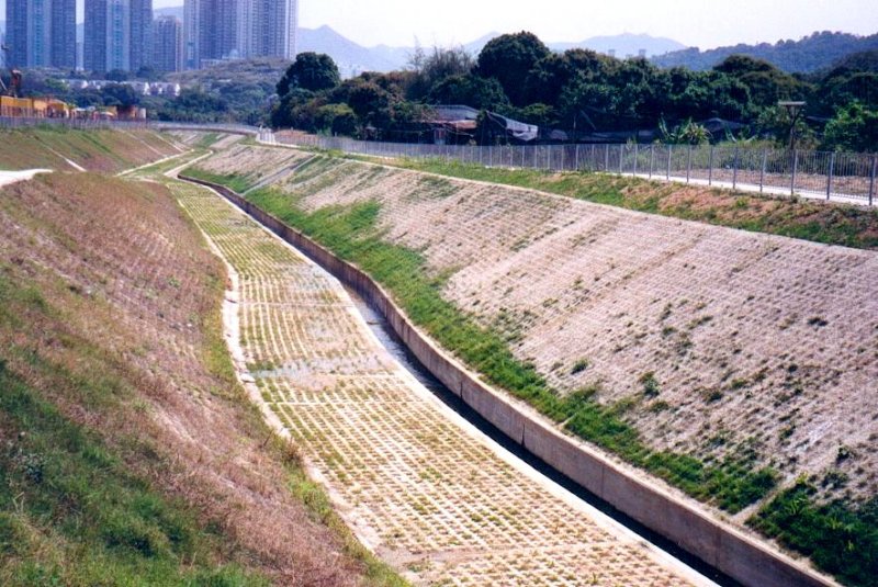 earlygerminationtodrainchannel.jpg